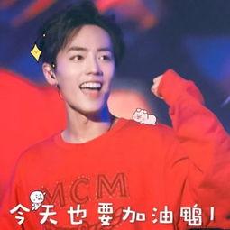 肖战表情包视频,笑点满满，表情包界的“笑果”担当