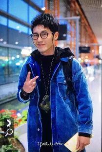 陈的娱乐名人,娱乐界的璀璨明星